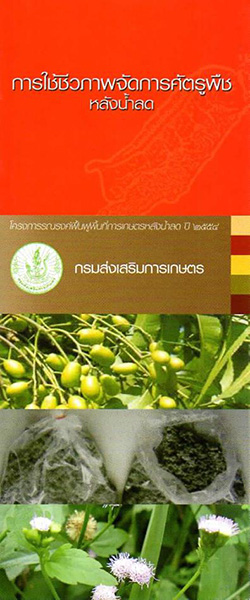 การจัดการหลังน้ำลด การจัดการหลังน้ำลด