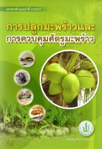 การปลูกมะพร้าวและการควบคุมศัตรูมะพร้าว การปลูกมะพร้าวและการควบคุมศัตรูมะพร้าว