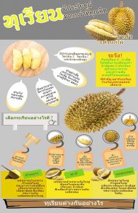 INFOGRAPHIC รณรงค์บริโภคผลไม้ไทย