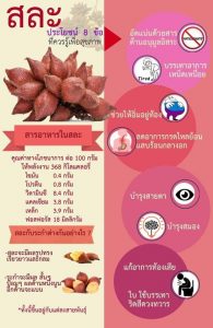 INFOGRAPHIC รณรงค์บริโภคผลไม้ไทย