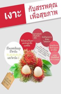 INFOGRAPHIC รณรงค์บริโภคผลไม้ไทย