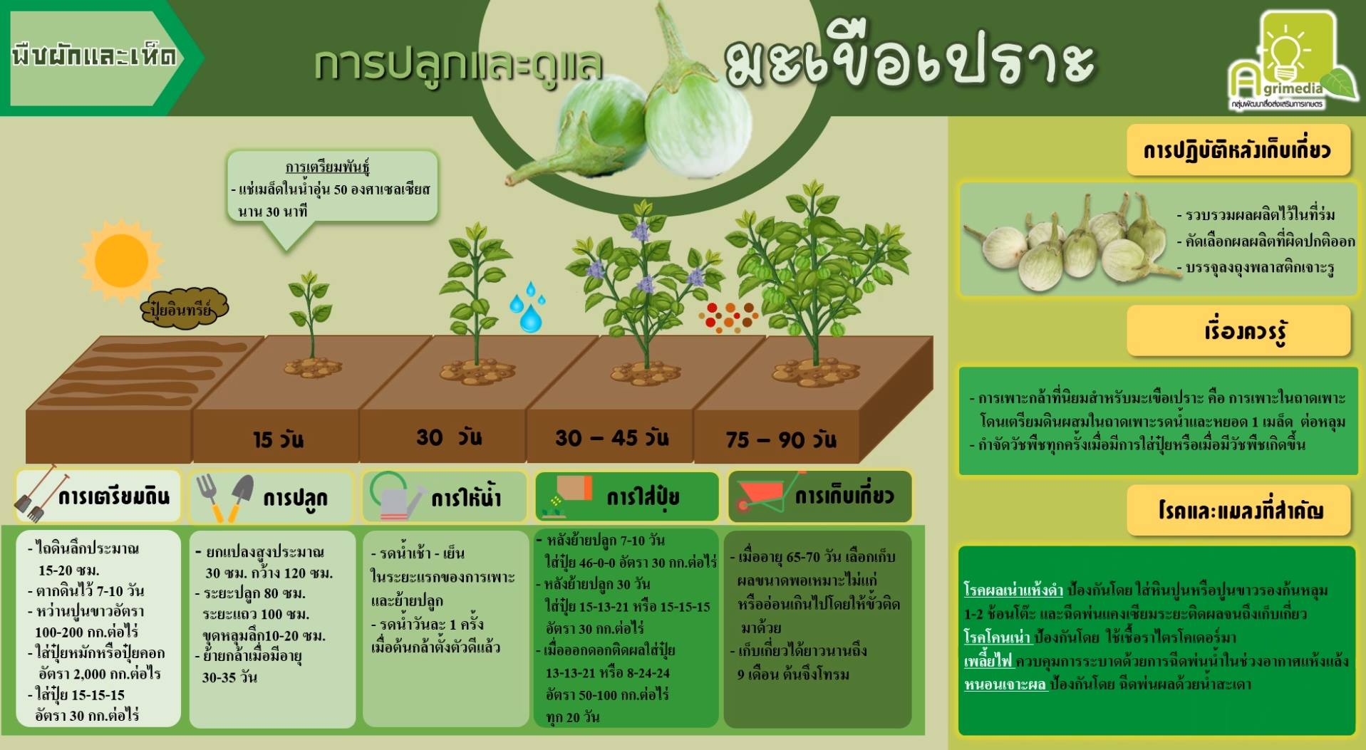 Infographic