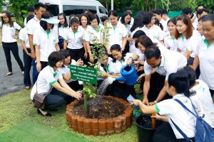 ปลูกต้นรวงผึ้ง เนื่องในโอกาสวันเฉลิมพระชนมพรรษา สมเด็จพระเจ้าอยู่หัวมหาวชิราลงกรณ บดินทรเทพยวรางกูรณ