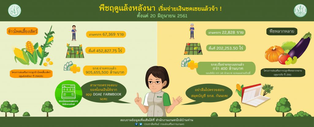 พืชฤดูแล้งหลังนา เริ่มจ่ายเงินชดเชยแล้ว พืชฤดูแล้งหลังนา เริ่มจ่ายเงินชดเชยแล้ว