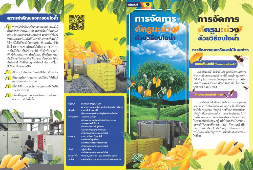 การจัดการศัตรูมะม่วงด้วยวิธีอบไอน้ำ