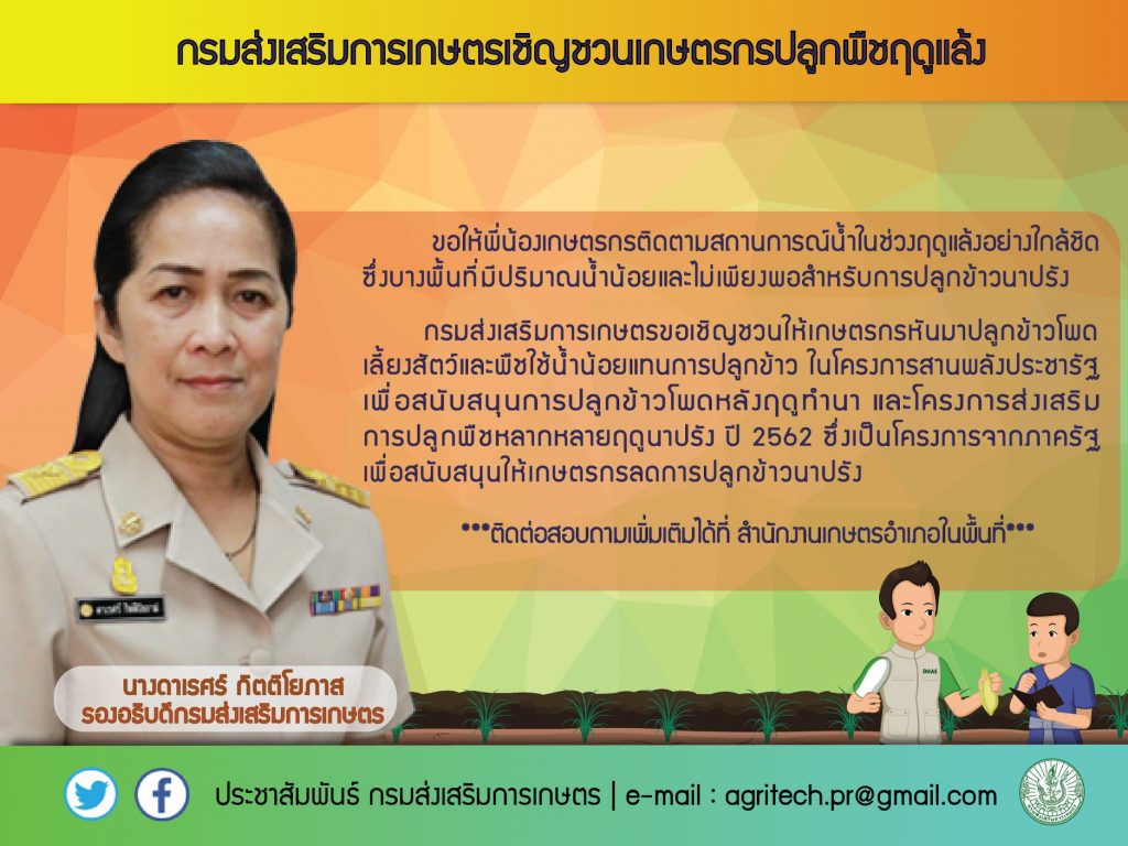 กรมส่งเสริมการเกษตรเชิญชวนเกษตรกรปลูกพืชฤดูแล้ง กรมส่งเสริมการเกษตรเชิญชวนเกษตรกรปลูกพืชฤดูแล้ง