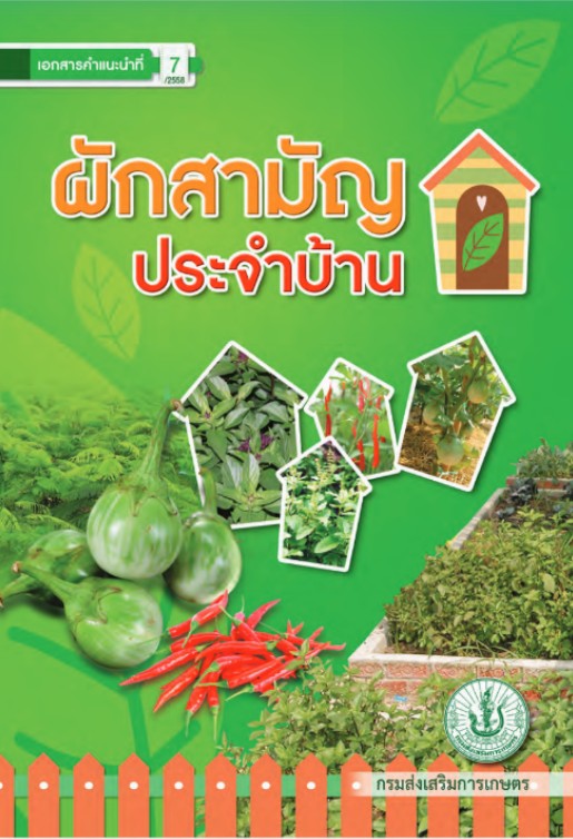 ผักสามัญประจำบ้าน ผักสามัญประจำบ้าน