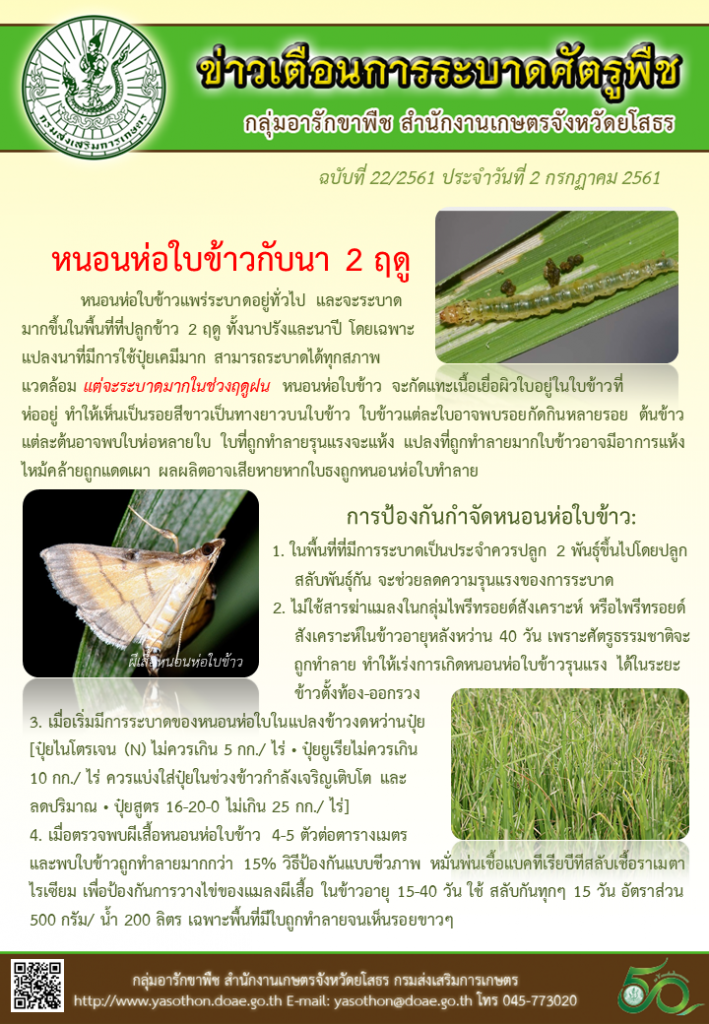 หนอนห่อใบข้าว