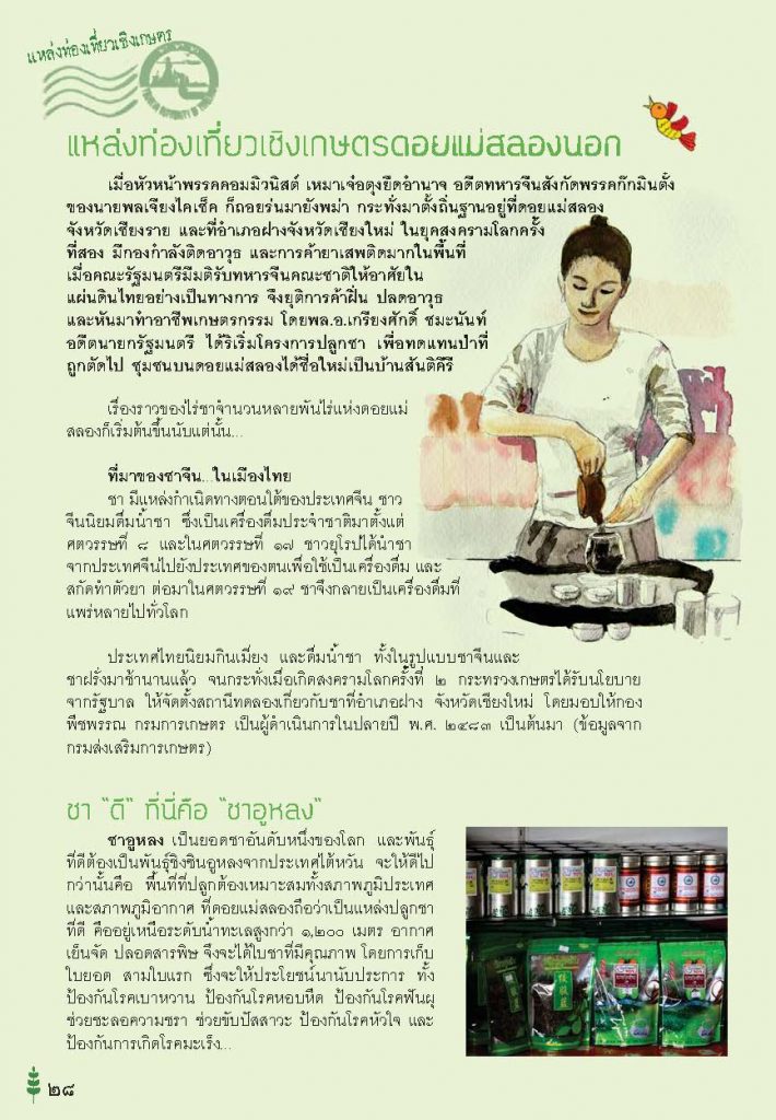 แหล่งท่องเที่ยวเชิงเกษตรดอยแม่สลองนอกจังหวัดเชียงราย