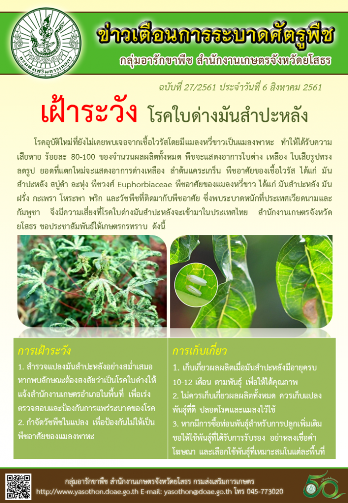 โรคใบด่างมันสำปะหลัง