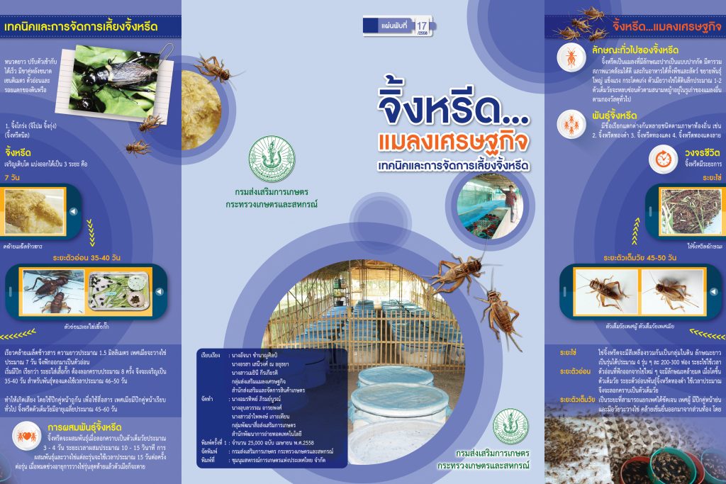 จิ้งหรีดแมลงเศรษฐกิจ เทคนิคและการจัดการเลี้ยงจิ้งหรีด จิ้งหรีดแมลงเศรษฐกิจ เทคนิคและการจัดการเลี้ยงจิ้งหรีด