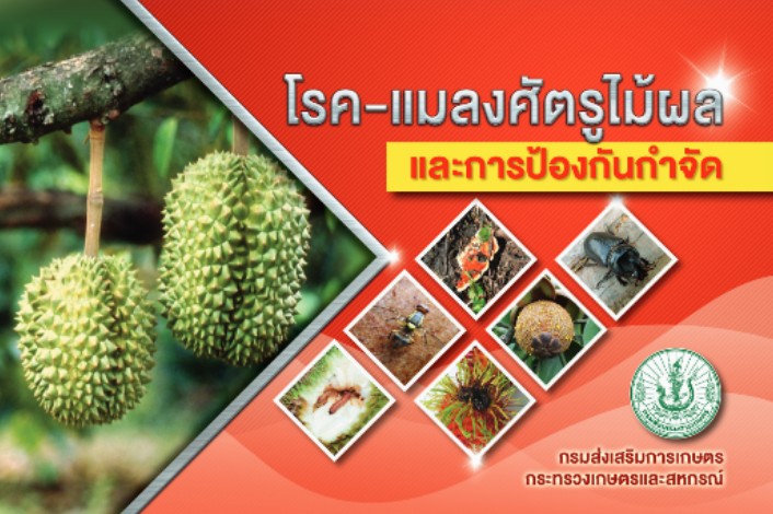 โรค-แมลงศัตรูไม้ผล และการป้องกันกำจัด