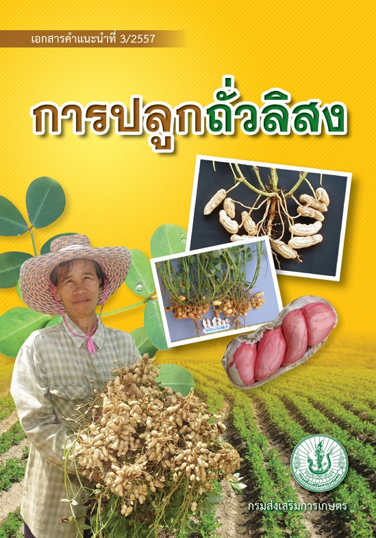 การปลูกถั่วลิสง การปลูกถั่วลิสง