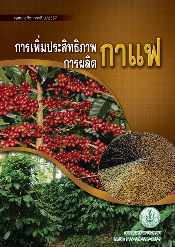 การเพิ่มประสิทธิภาพการผลิตกาแฟ การเพิ่มประสิทธิภาพการผลิตกาแฟ