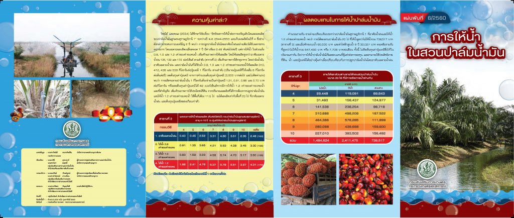 การให้น้ำในสวนปาล์มน้ำมัน การให้น้ำในสวนปาล์มน้ำมัน