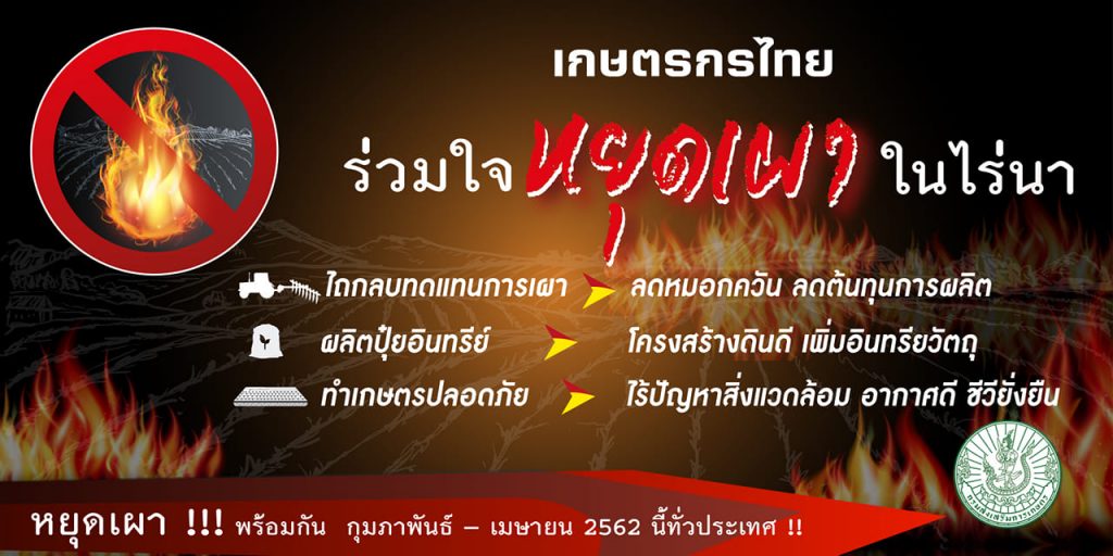 กรมส่งเสริมการเกษตร ร่วมรณรงค์ปลอดการเผาในพื้นที่เกษตร