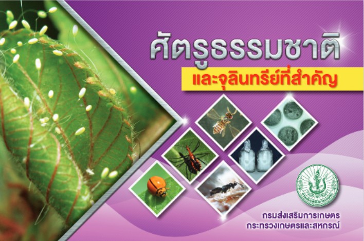 ศัตรูธรรมชาติและจุลินทรีย์ที่สำคัญ