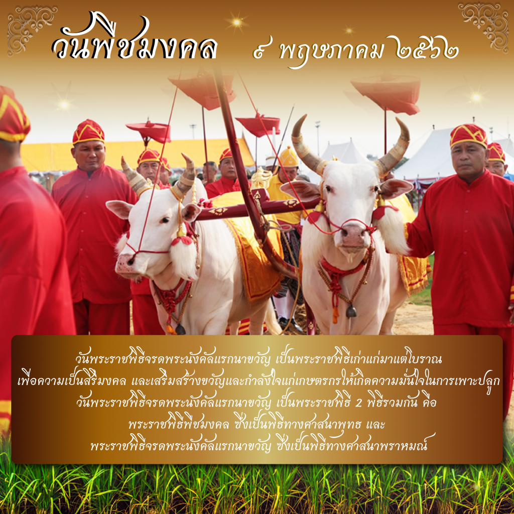 วันพืชมงคล 2562