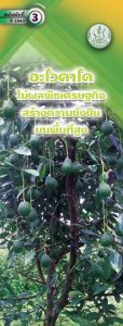 แนะนำแผ่นพับ ปี 2562