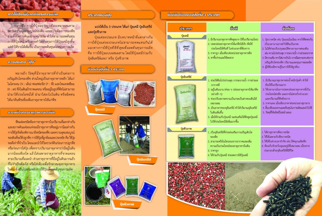 การใช้ปุ๋ยเพื่อลดต้นทุนการผลิต การใช้ปุ๋ยเพื่อลดต้นทุนการผลิต