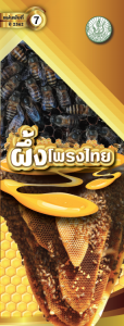 แนะนำแผ่นพับ ปี 2562