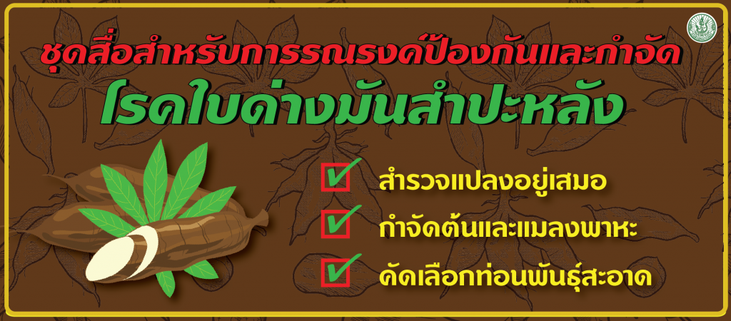 ชุดสื่อสำหรับการรณรงค์ป้องกันและกำจัดโรคใบด่างมันสำปะหลัง