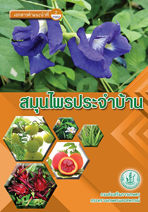 เอกสารคำแนะนำปี 2562