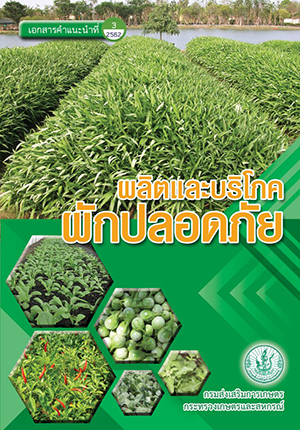 เอกสารคำแนะนำปี 2562