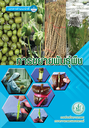 เอกสารคำแนะนำปี 2562