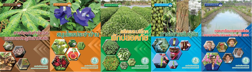 เอกสารคำแนะนำปี 2562
