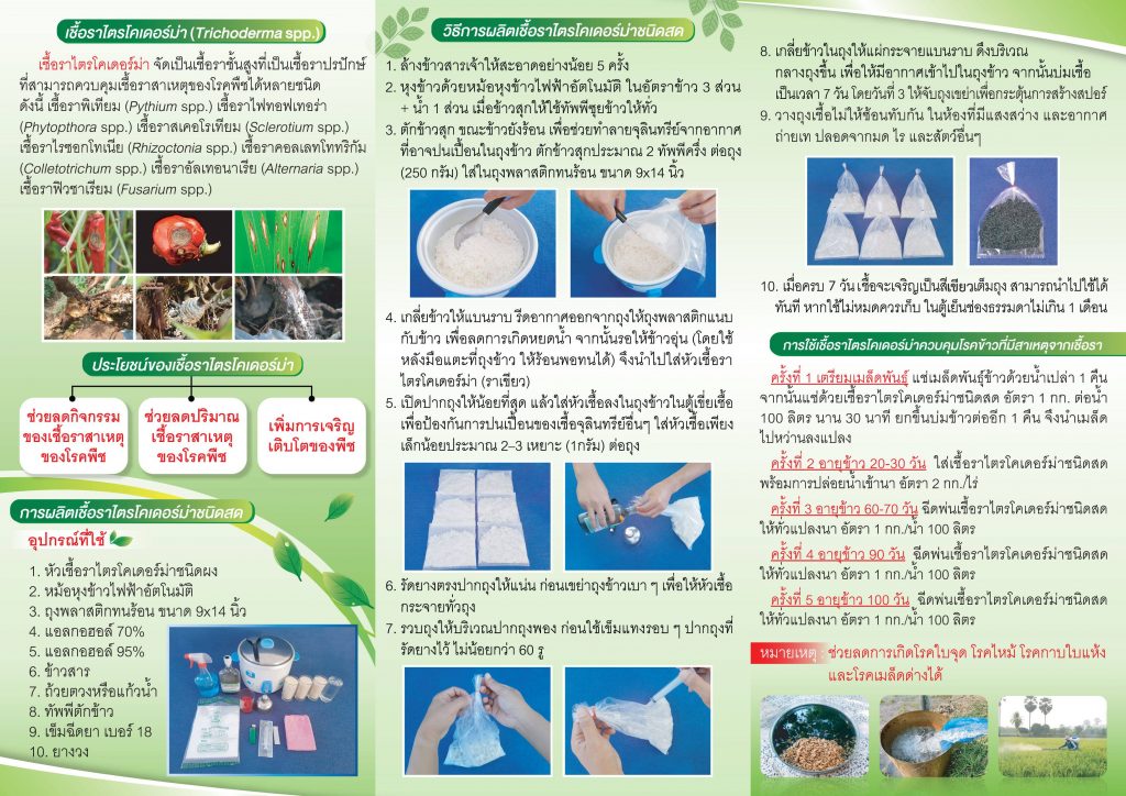 เชื้อราไตรโคเดอร์ม่า