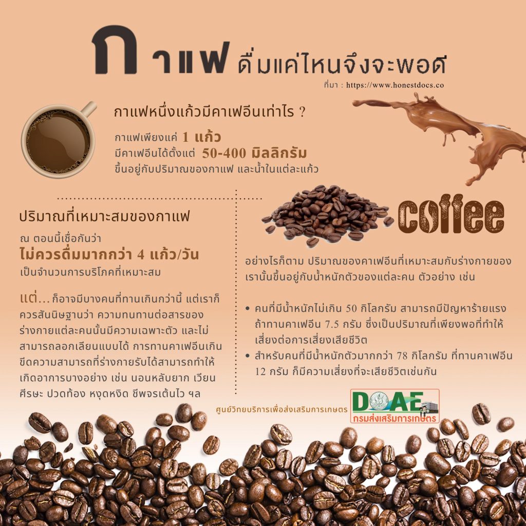 11. กาแฟ ดื่มแค่ไหนจึงจะพอดี