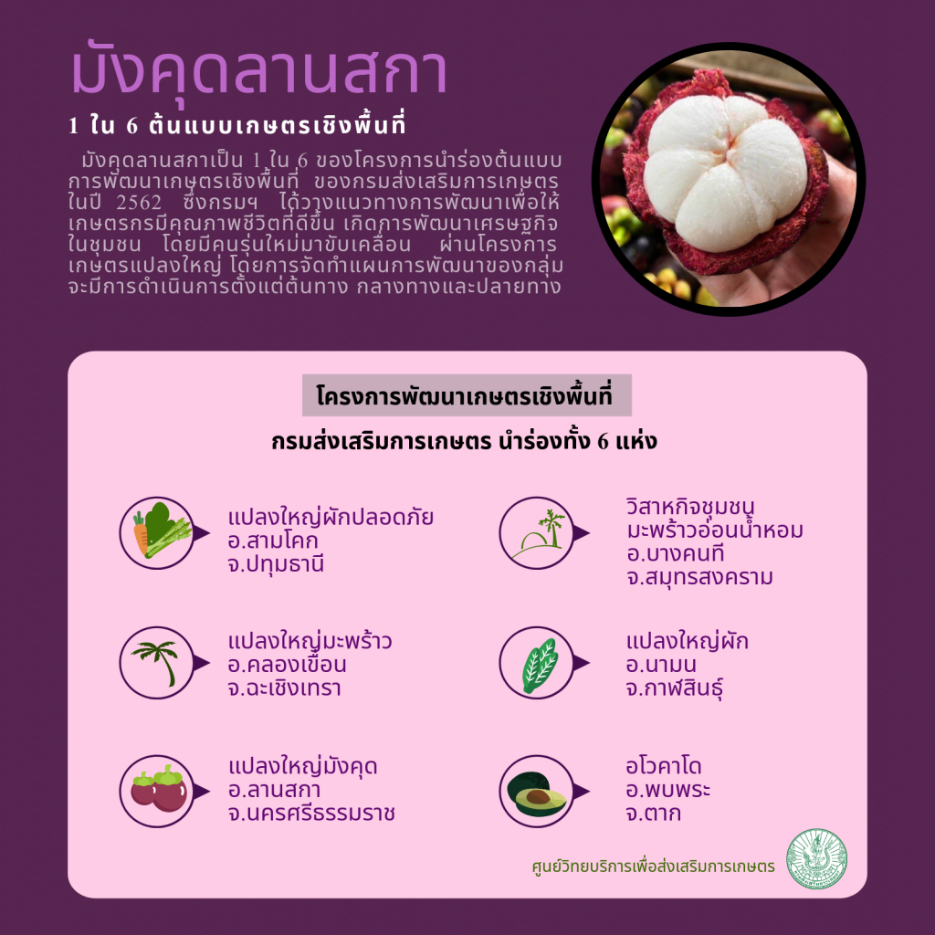 18. มังคุดลานสกา 1 ใน 6 ต้นแบบเกษตรเชิงพื้นที่