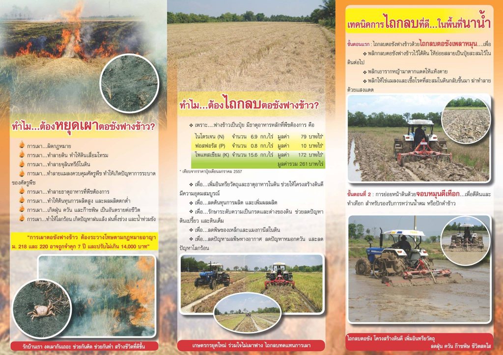 หยุดเผาตอซังฟางข้าว
