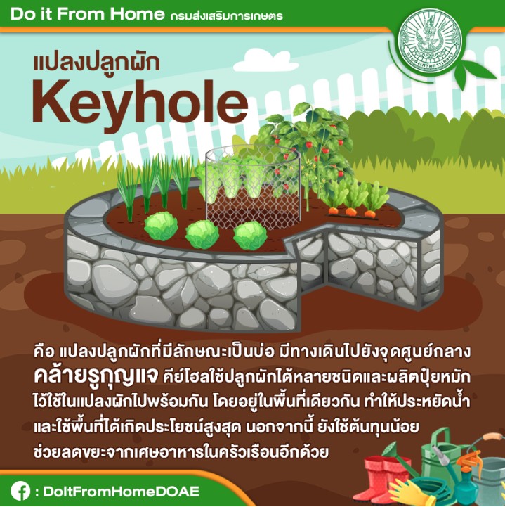แปลงปลูกผัก Keyhole แปลงปลูกผัก Keyhole