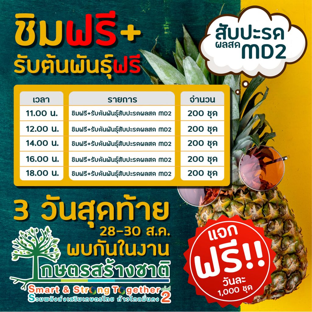 ชิมฟรีและรับต้นพันธุ์ฟรี สับปะรดผลสด MD2