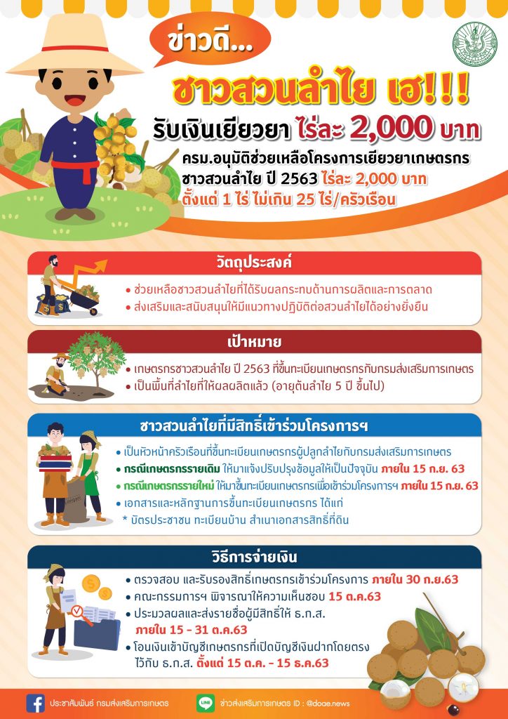 ชาวสวนลำไย เฮ!! รับเงินเยียวยาไร่ละ 2,000 บาท