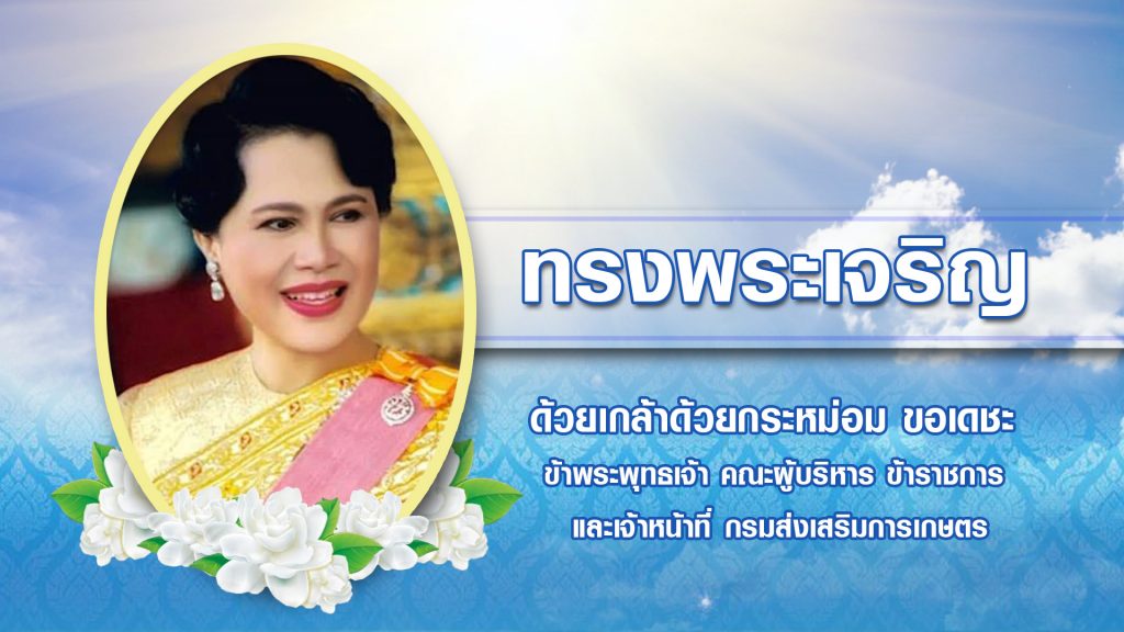 เนื่องในโอกาสวันเฉลิมพระชนมพรรษาสมเด็จพระนางเจ้าสิริกิติ์ พระบรมราชินีนาถ พระบรมราชชนนีพันปีหลวง