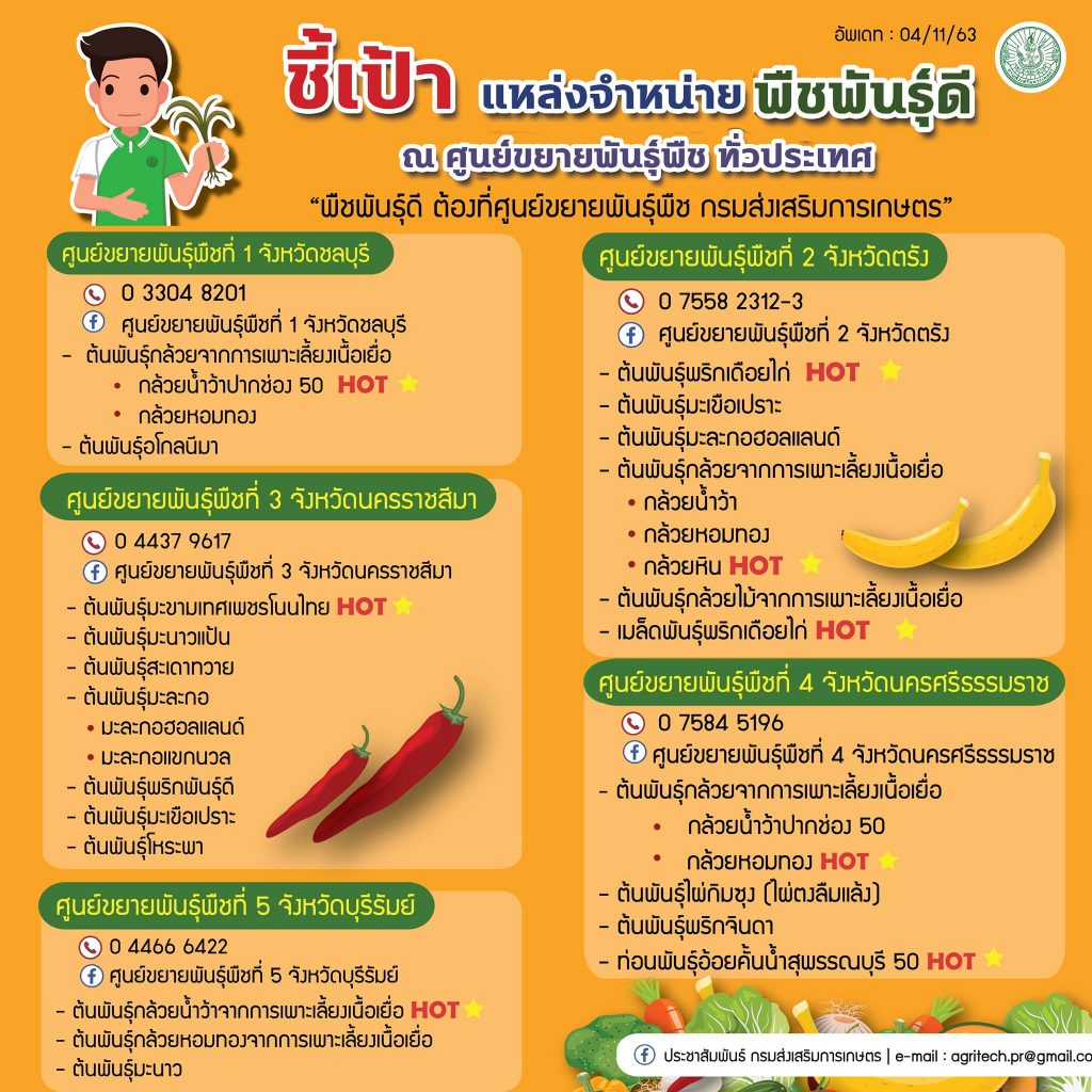 แหล่งจำหน่ายพืชพันธุ์ดี แหล่งจำหน่ายพืชพันธุ์ดี