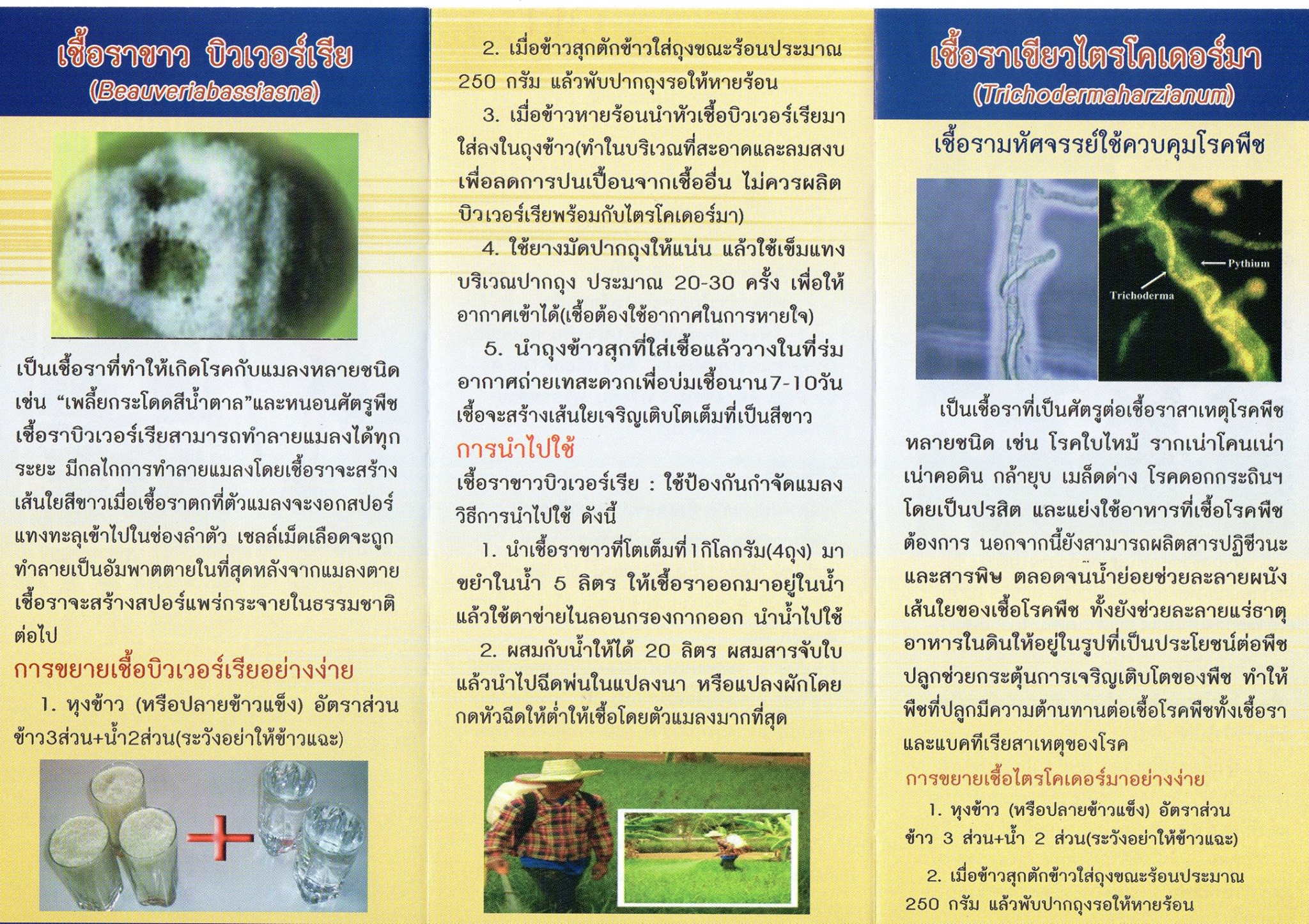 การป้องกันกำจัดศัตรูพืชโดยชีววิธี
