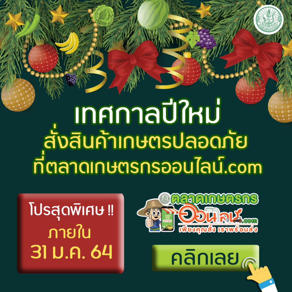 🎉เทศกาลปีใหม่ สั่ง "สินค้าเกษตรปลอดภัย" 🥳 📍 ตลาดเกษตรกรออนไลน์.com 🎉เทศกาลปีใหม่ สั่ง "สินค้าเกษตรปลอดภัย" 🥳 📍 ตลาดเกษตรกรออนไลน์.com