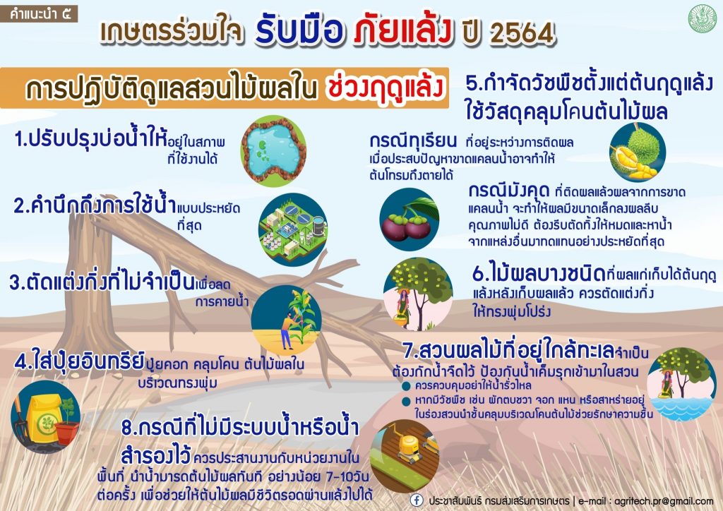 คำแนะนำที่ 5 ปี 2564 "การปฏิบัติดูแลสวนไม้ผลในช่วงฤดูแล้ง"