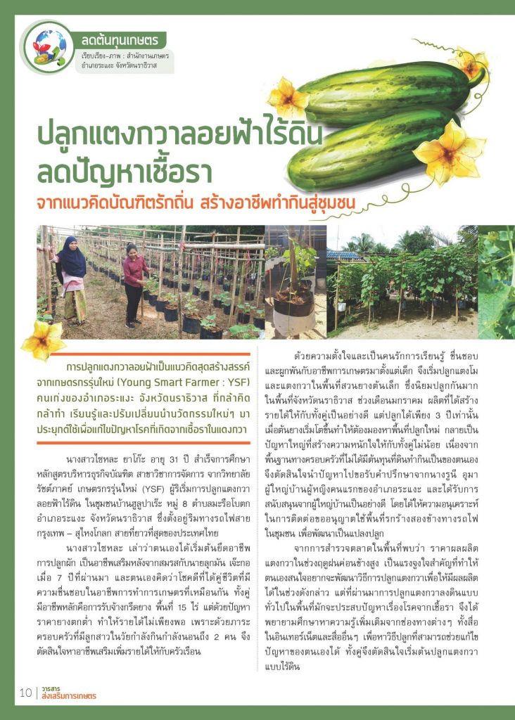 ปลูกแตงกวาลอยฟ้าไร้ดินลดปัญหาเชื้อรา