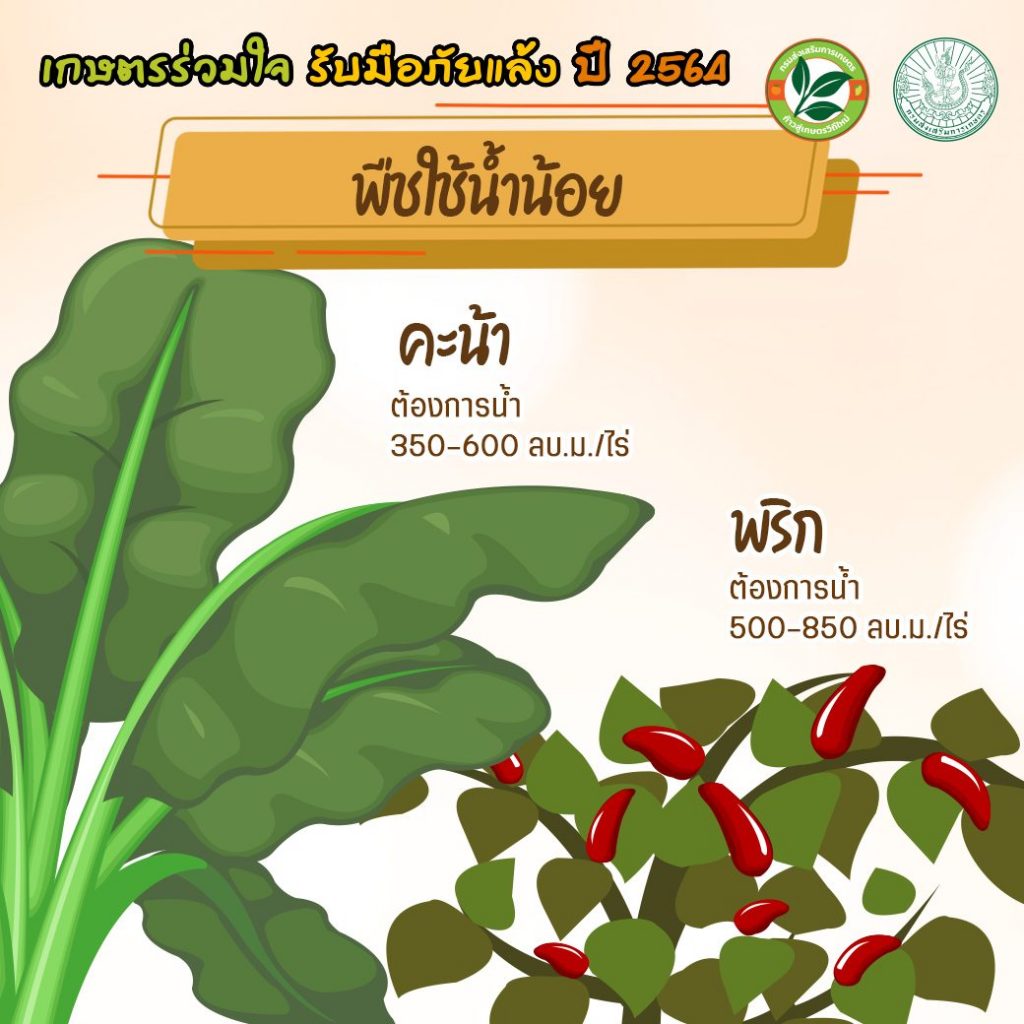 เกษตรร่วมใจ รับมือภัยแล้ง ปี 2564 การใช้น้ำอย่างรู้คุณค่ากับพืช