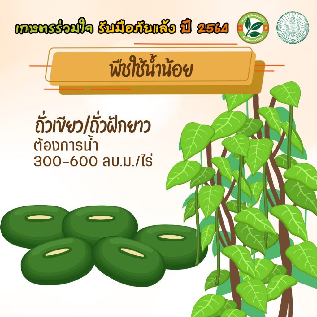 เกษตรร่วมใจ รับมือภัยแล้ง ปี 2564 การใช้น้ำอย่างรู้คุณค่ากับพืช