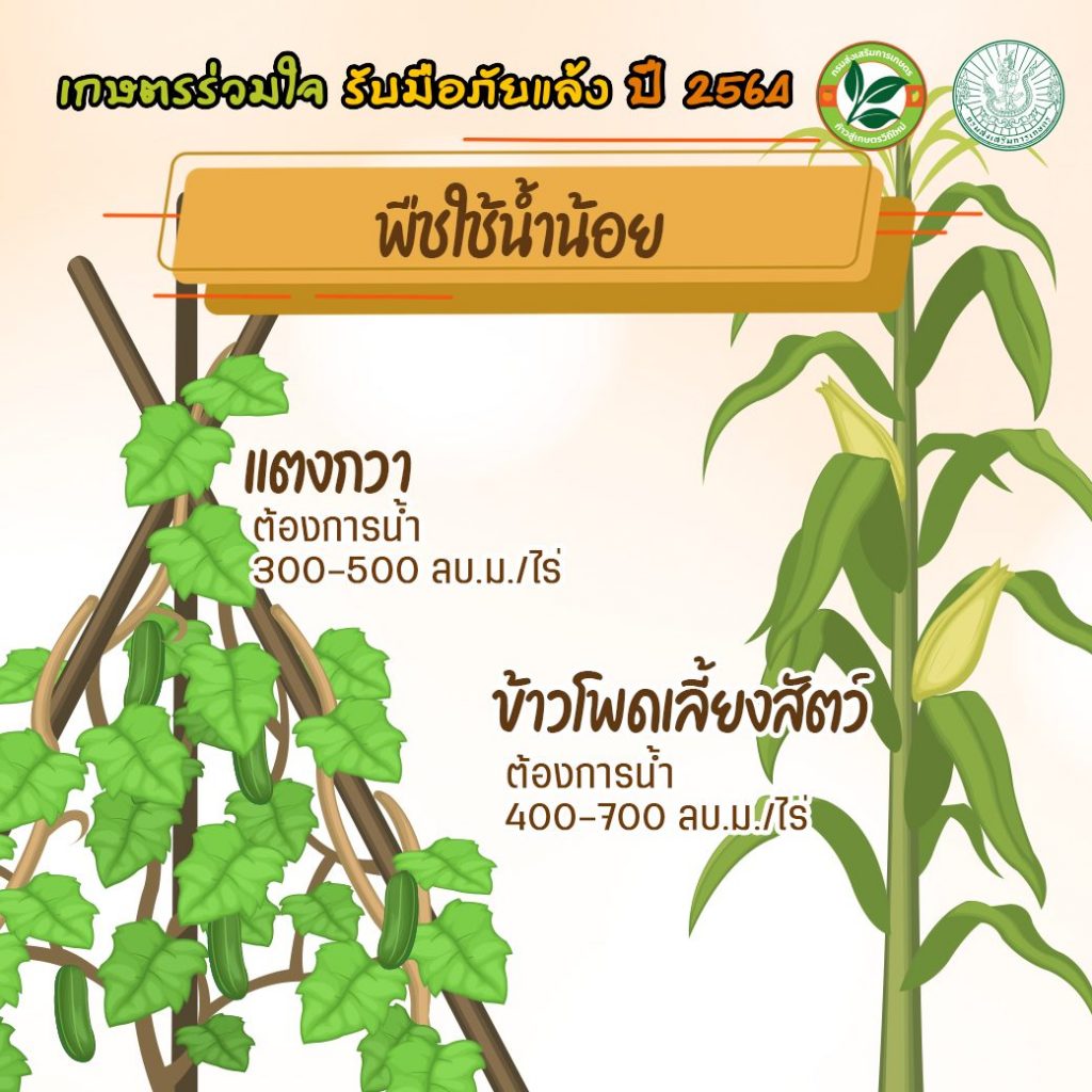 เกษตรร่วมใจ รับมือภัยแล้ง ปี 2564 การใช้น้ำอย่างรู้คุณค่ากับพืช