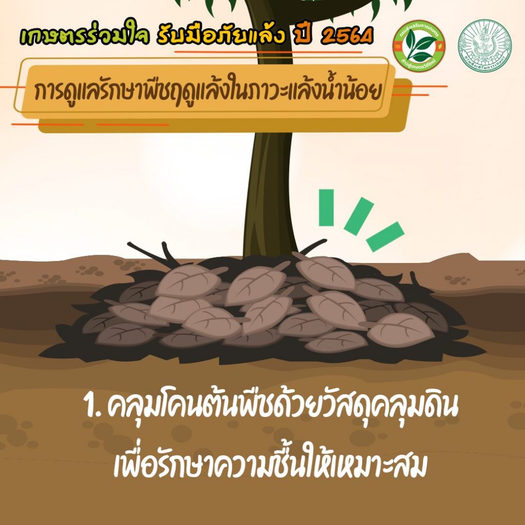 เกษตรร่วมใจ รับมือภัยแล้ง ปี 2564 การใช้น้ำอย่างรู้คุณค่ากับพืช