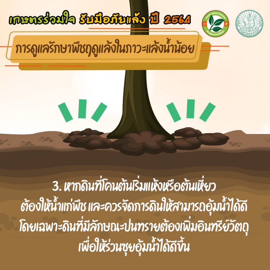 เกษตรร่วมใจ รับมือภัยแล้ง ปี 2564 การใช้น้ำอย่างรู้คุณค่ากับพืช