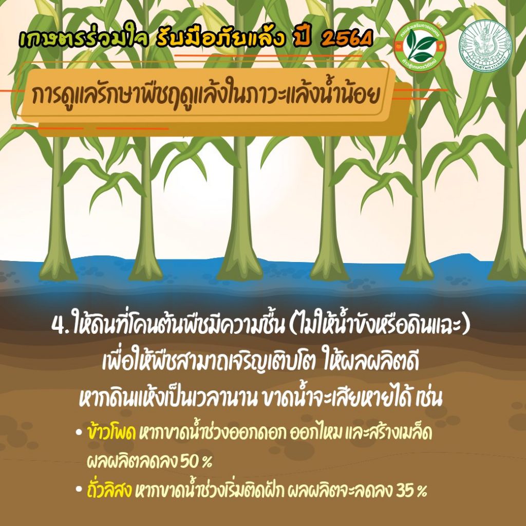 เกษตรร่วมใจ รับมือภัยแล้ง ปี 2564 การใช้น้ำอย่างรู้คุณค่ากับพืช