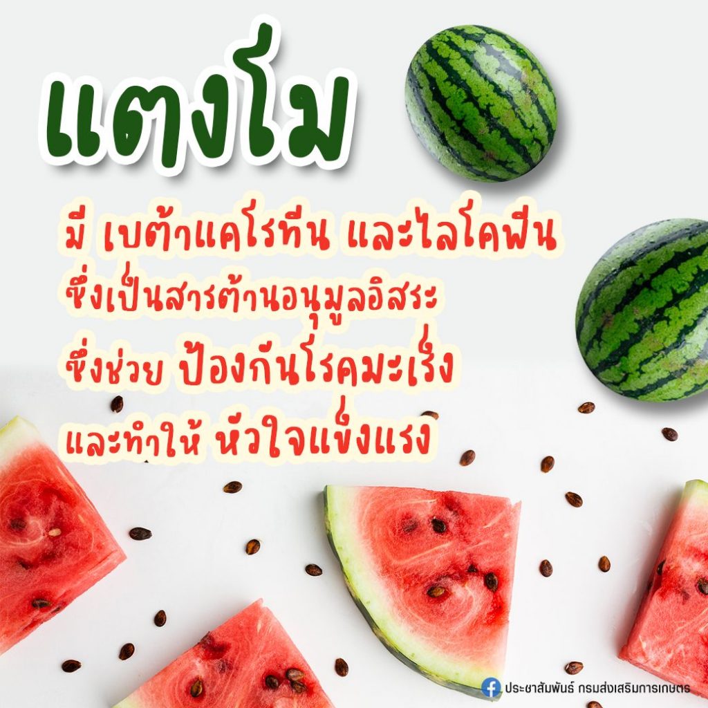 28. แตงโม